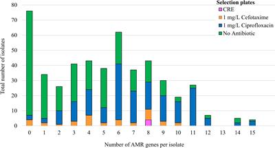 Characterizing Antimicrobial Resistant Escherichia coli and Associated Risk Factors in a Cross-Sectional Study of Pig Farms in Great Britain